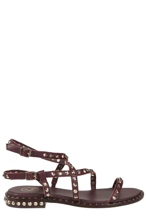 Ash Petra Studded Sandals