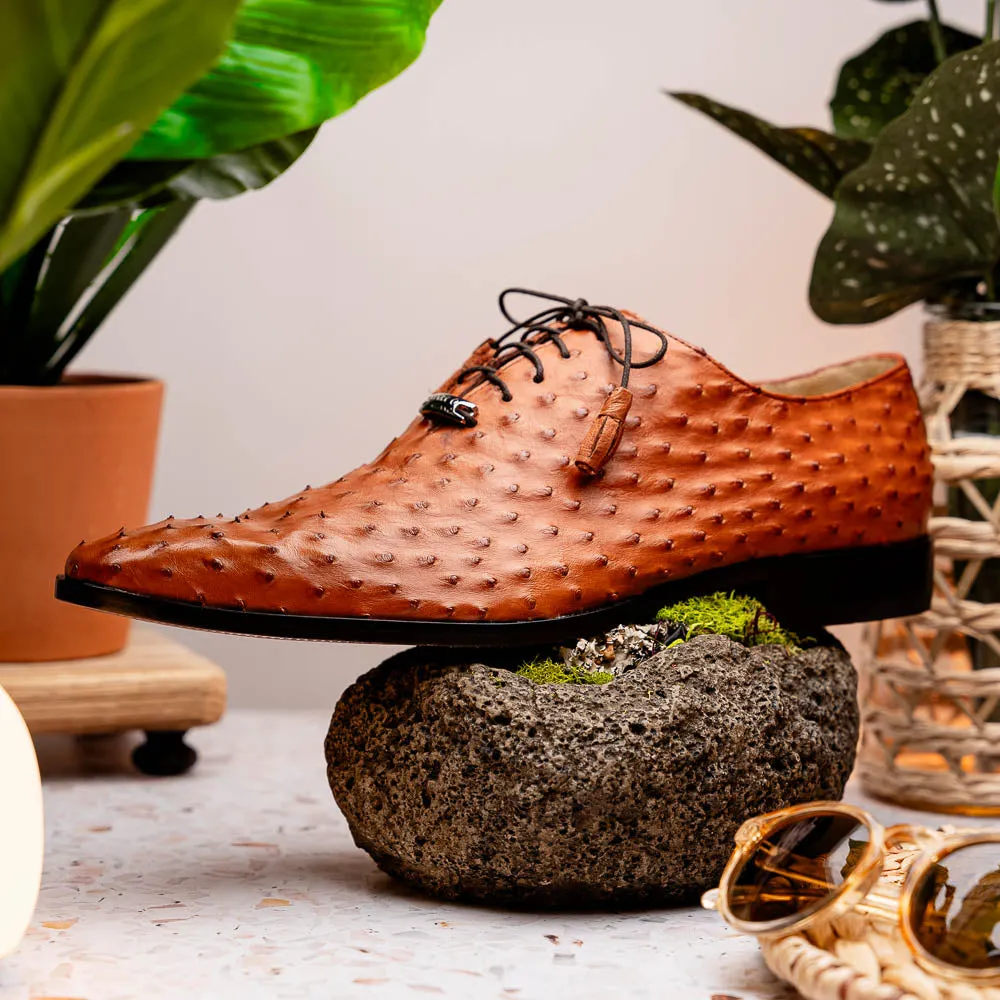 MARCO DIMILANO SHOES-CRISS