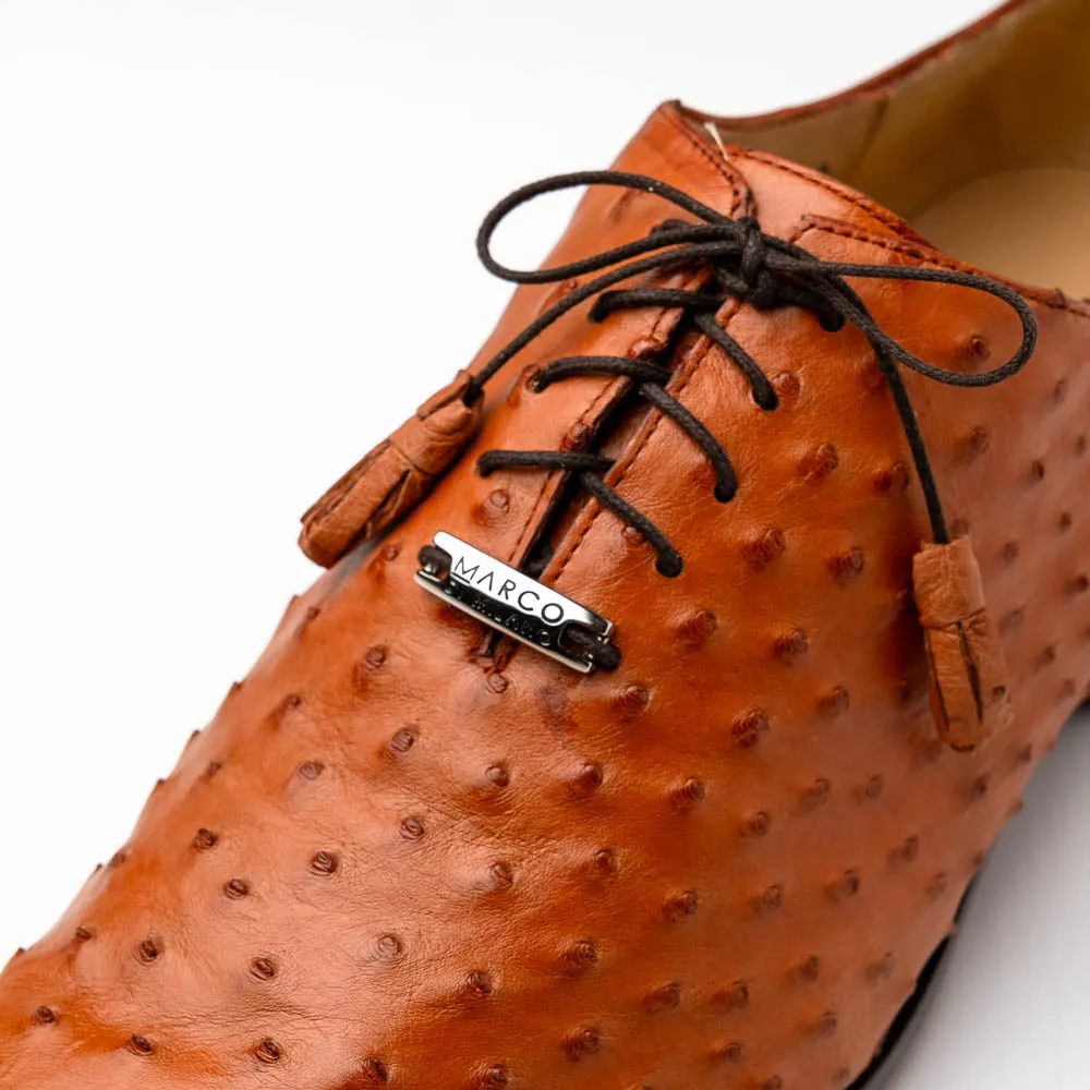 MARCO DIMILANO SHOES-CRISS